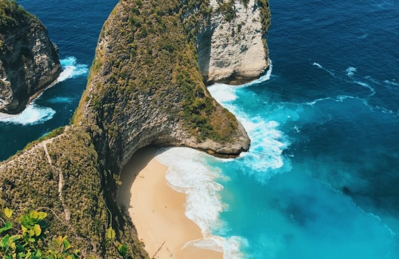 Bali coast and palms